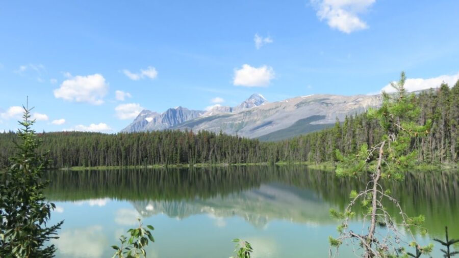 La route des Glaciers - Rocheuses canadiennes