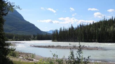 La route des Glaciers - Rocheuses canadiennes