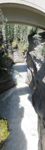 Chutes d'Athabasca -  La route des Glaciers - Rocheuses canadiennes