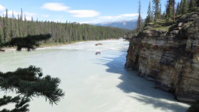 La rivière Athabasca -  La route des Glaciers - Rocheuses canadiennes