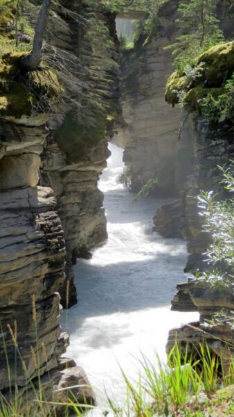 Chutes d'Athabasca -  La route des Glaciers - Rocheuses canadiennes