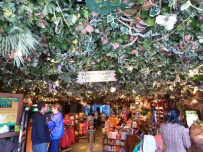 Le Rainforest Café - San Francisco - Californie (USA)