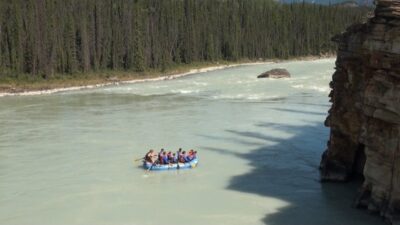 La rivière Athabasca -  La route des Glaciers - Rocheuses canadiennes