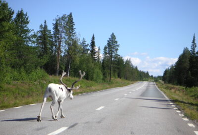 Les routes en Suède