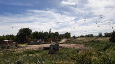 Sur la route entre Monte Hermoso et Balneario El Condor - Argentine