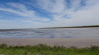 Sur la route entre Monte Hermoso et Balneario El Condor - Argentine