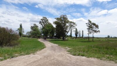 Sur la route entre Monte Hermoso et Balneario El Condor - Argentine