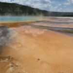 Parc de Yellowstone (USA)