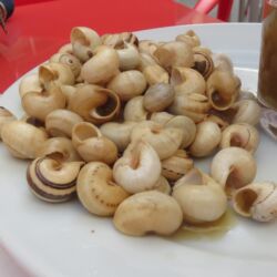 Dégustation de caracoles - El Puerto de Santa Maria